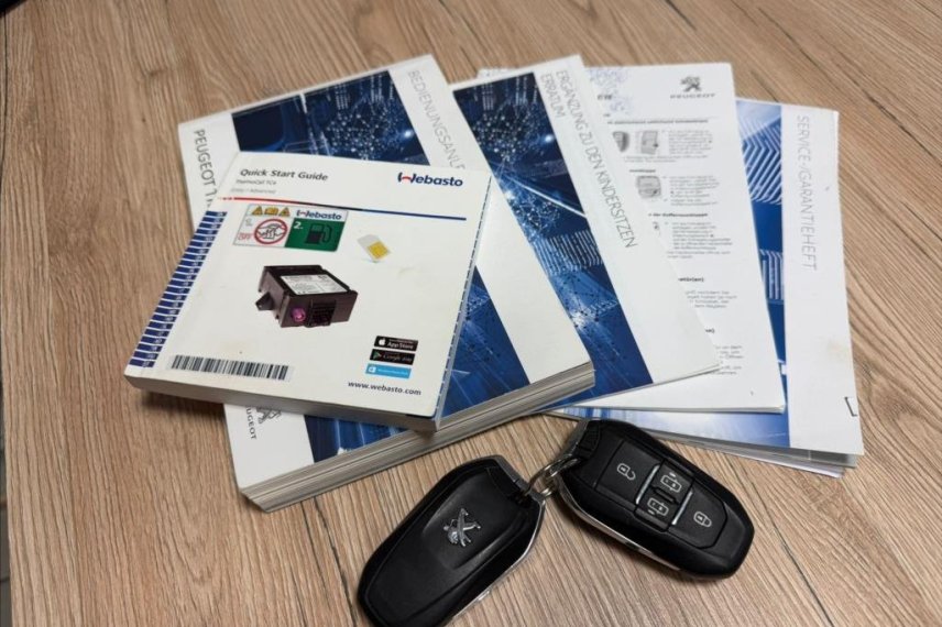 Peugeot Traveller galerie