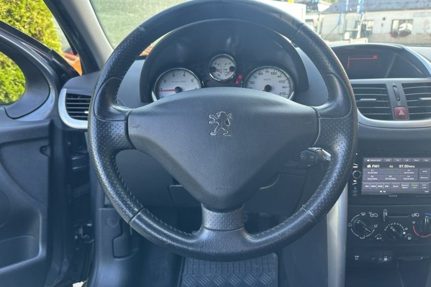 Peugeot 207 galerie